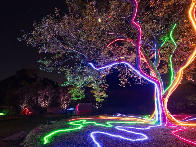 Árvore iluminada no parque Lumni